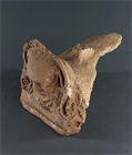 Picture of CA0813 4th Century BC Etruscan Antefix of a Satyr
